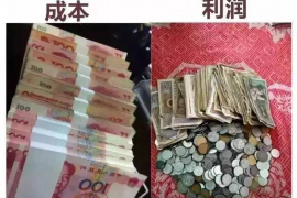 龙山为什么选择专业追讨公司来处理您的债务纠纷？